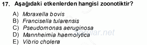 Veteriner Mikrobiyoloji ve Epidemiyoloji 2014 - 2015 Ara Sınavı 17.Soru
