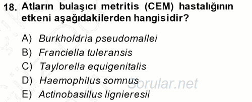 Veteriner Mikrobiyoloji ve Epidemiyoloji 2014 - 2015 Ara Sınavı 18.Soru