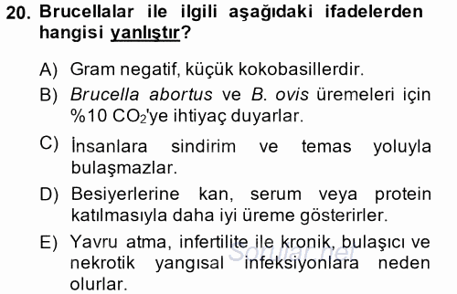 Veteriner Mikrobiyoloji ve Epidemiyoloji 2014 - 2015 Ara Sınavı 20.Soru