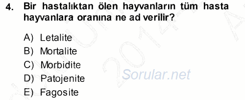 Veteriner Mikrobiyoloji ve Epidemiyoloji 2014 - 2015 Ara Sınavı 4.Soru