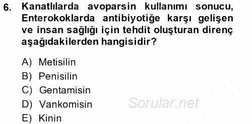 Veteriner Mikrobiyoloji ve Epidemiyoloji 2014 - 2015 Ara Sınavı 6.Soru