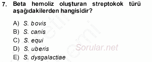 Veteriner Mikrobiyoloji ve Epidemiyoloji 2014 - 2015 Ara Sınavı 7.Soru