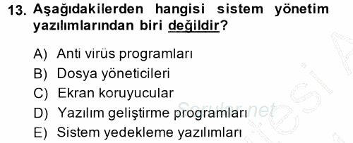 İşletme Bilgi Sistemleri 2013 - 2014 Ara Sınavı 13.Soru