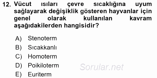 Ekoloji ve Turizm 2017 - 2018 Ara Sınavı 12.Soru