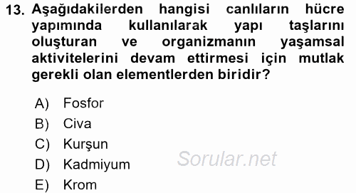 Ekoloji ve Turizm 2017 - 2018 Ara Sınavı 13.Soru