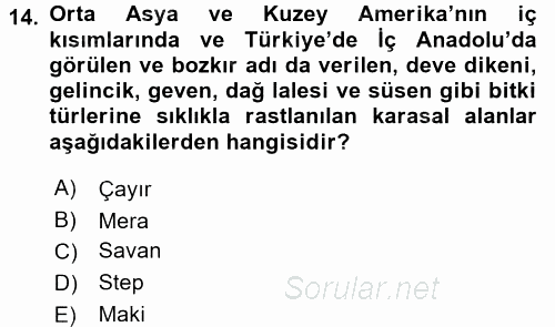 Ekoloji ve Turizm 2017 - 2018 Ara Sınavı 14.Soru