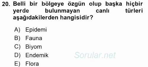 Ekoloji ve Turizm 2017 - 2018 Ara Sınavı 20.Soru