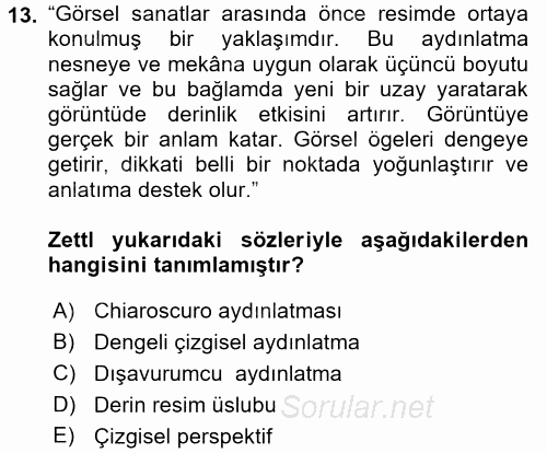 Videonun Kullanım Alanları 2016 - 2017 Ara Sınavı 13.Soru