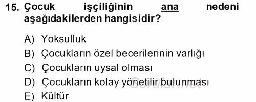 Sosyal Politika 2 2013 - 2014 Ara Sınavı 15.Soru