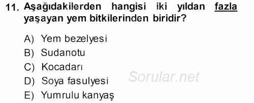 Tarla Bitkileri 2 2013 - 2014 Dönem Sonu Sınavı 11.Soru