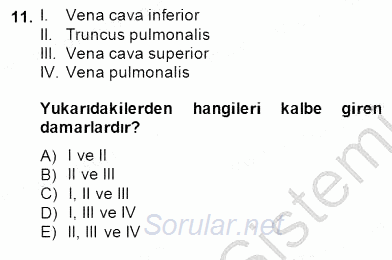 İnsan Anatomisi Ve Fizyolojisi 2014 - 2015 Dönem Sonu Sınavı 11.Soru