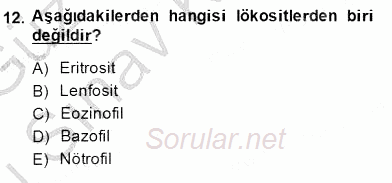 İnsan Anatomisi Ve Fizyolojisi 2014 - 2015 Dönem Sonu Sınavı 12.Soru