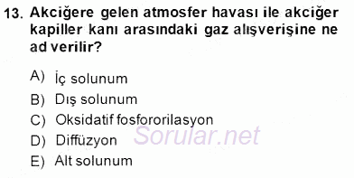 İnsan Anatomisi Ve Fizyolojisi 2014 - 2015 Dönem Sonu Sınavı 13.Soru