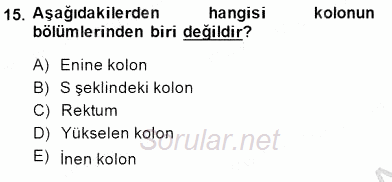 İnsan Anatomisi Ve Fizyolojisi 2014 - 2015 Dönem Sonu Sınavı 15.Soru