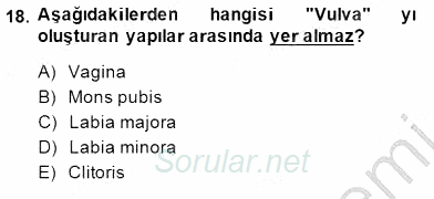 İnsan Anatomisi Ve Fizyolojisi 2014 - 2015 Dönem Sonu Sınavı 18.Soru