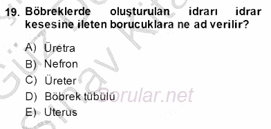 İnsan Anatomisi Ve Fizyolojisi 2014 - 2015 Dönem Sonu Sınavı 19.Soru