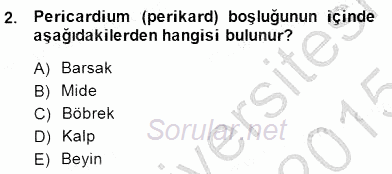 İnsan Anatomisi Ve Fizyolojisi 2014 - 2015 Dönem Sonu Sınavı 2.Soru