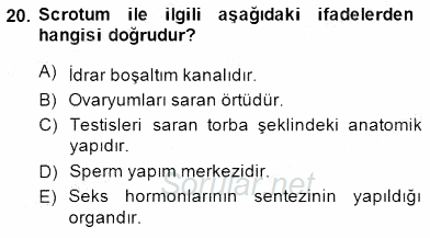 İnsan Anatomisi Ve Fizyolojisi 2014 - 2015 Dönem Sonu Sınavı 20.Soru