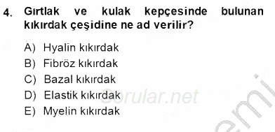 İnsan Anatomisi Ve Fizyolojisi 2014 - 2015 Dönem Sonu Sınavı 4.Soru