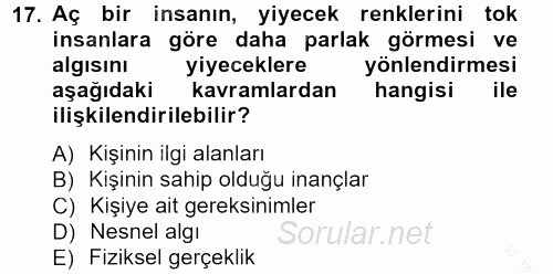 Görsel Estetik 2012 - 2013 Ara Sınavı 17.Soru