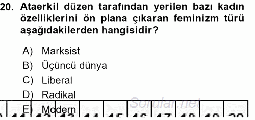 Yeni Toplumsal Hareketler 2015 - 2016 Ara Sınavı 20.Soru