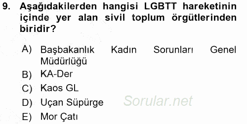 Yeni Toplumsal Hareketler 2015 - 2016 Ara Sınavı 9.Soru