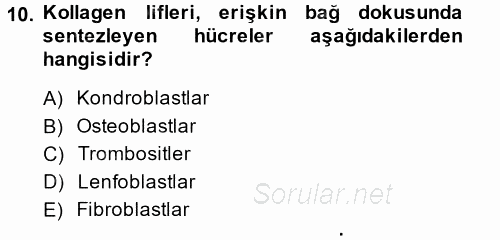 Temel Veteriner Histoloji ve Embriyoloji 2014 - 2015 Ara Sınavı 10.Soru