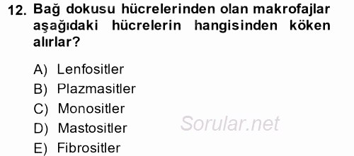 Temel Veteriner Histoloji ve Embriyoloji 2014 - 2015 Ara Sınavı 12.Soru