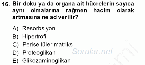 Temel Veteriner Histoloji ve Embriyoloji 2014 - 2015 Ara Sınavı 16.Soru