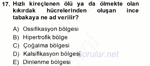 Temel Veteriner Histoloji ve Embriyoloji 2014 - 2015 Ara Sınavı 17.Soru