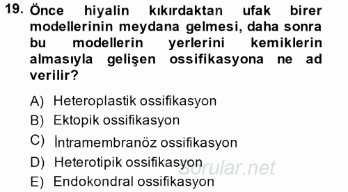 Temel Veteriner Histoloji ve Embriyoloji 2014 - 2015 Ara Sınavı 19.Soru