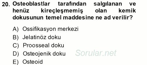 Temel Veteriner Histoloji ve Embriyoloji 2014 - 2015 Ara Sınavı 20.Soru