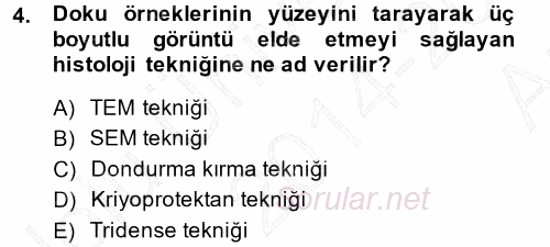 Temel Veteriner Histoloji ve Embriyoloji 2014 - 2015 Ara Sınavı 4.Soru