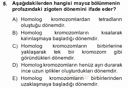 Temel Veteriner Histoloji ve Embriyoloji 2014 - 2015 Ara Sınavı 5.Soru