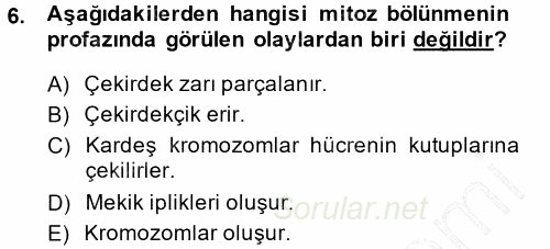 Temel Veteriner Histoloji ve Embriyoloji 2014 - 2015 Ara Sınavı 6.Soru