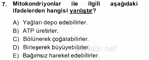 Temel Veteriner Histoloji ve Embriyoloji 2014 - 2015 Ara Sınavı 7.Soru