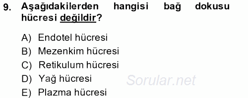 Temel Veteriner Histoloji ve Embriyoloji 2014 - 2015 Ara Sınavı 9.Soru