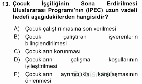 Sosyal Politika 2 2016 - 2017 Ara Sınavı 13.Soru