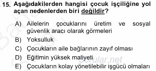 Sosyal Politika 2 2016 - 2017 Ara Sınavı 15.Soru