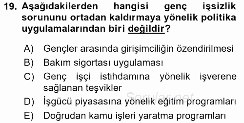 Sosyal Politika 2 2016 - 2017 Ara Sınavı 19.Soru