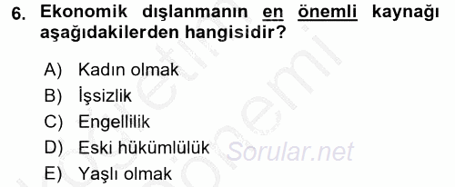 Sosyal Politika 2 2016 - 2017 Ara Sınavı 6.Soru