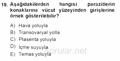 Temel Veteriner Parazitoloji 2014 - 2015 Ara Sınavı 19.Soru