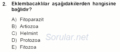 Temel Veteriner Parazitoloji 2014 - 2015 Ara Sınavı 2.Soru