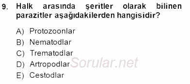 Temel Veteriner Parazitoloji 2014 - 2015 Ara Sınavı 9.Soru