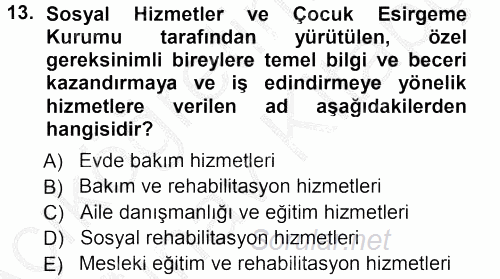 Özel Gereksinimli Bireyler ve Bakım Hizmetleri 2012 - 2013 Ara Sınavı 13.Soru