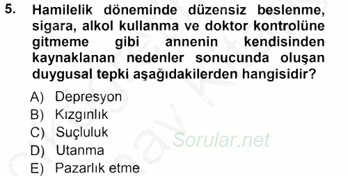 Özel Gereksinimli Bireyler ve Bakım Hizmetleri 2012 - 2013 Ara Sınavı 5.Soru