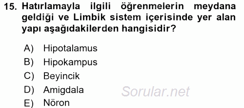 Eğitim Psikolojisi 2015 - 2016 Dönem Sonu Sınavı 15.Soru