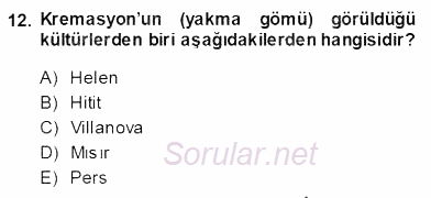 Akdeniz Uygarlıkları Sanatı 2013 - 2014 Ara Sınavı 12.Soru