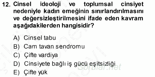 Çalışma Sosyolojisi 2013 - 2014 Dönem Sonu Sınavı 12.Soru