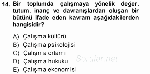 Çalışma Sosyolojisi 2013 - 2014 Dönem Sonu Sınavı 14.Soru
